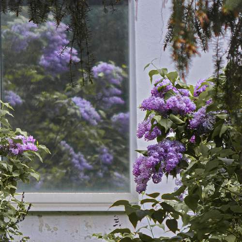 Photo #13168613