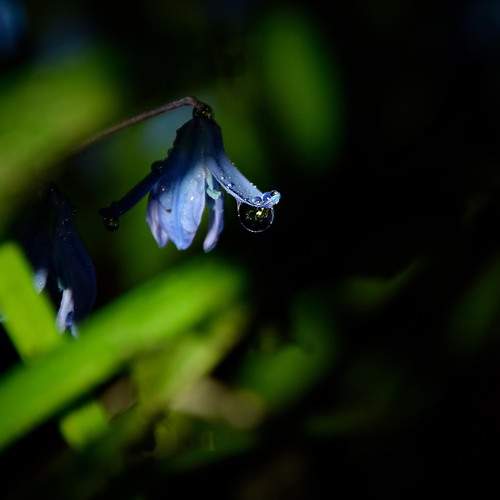 Photo #13168626