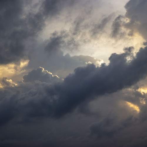 Photo #13168651