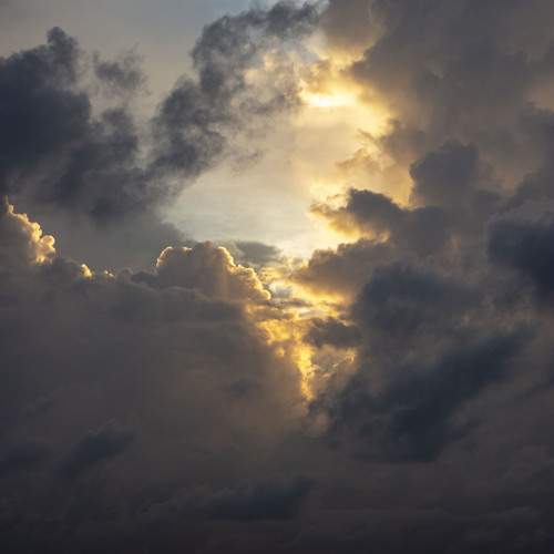 Photo #13168660
