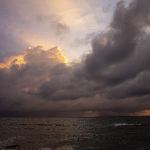 Photo #13168669
