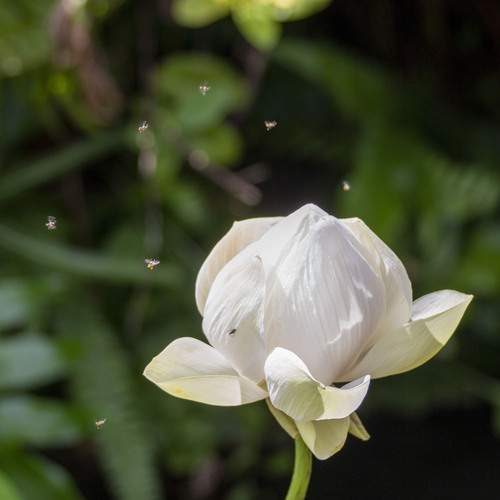 Photo #13168689
