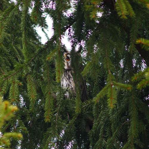 Photo #13168698
