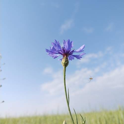 Photo #13168745