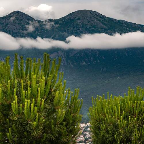 Фотография #13168770