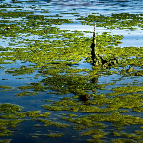 Фотография #13168771