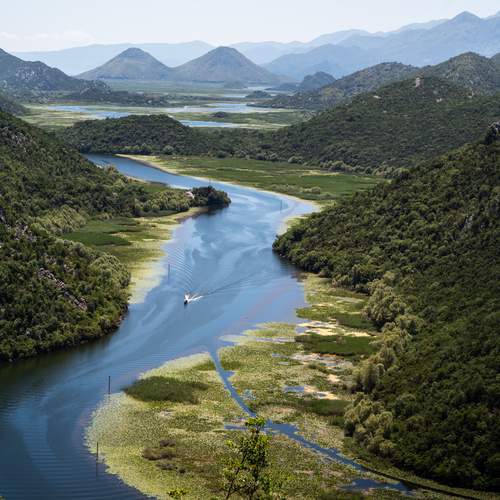 Фотография #13168775