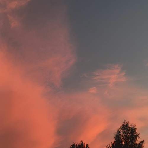 Photo #13168787