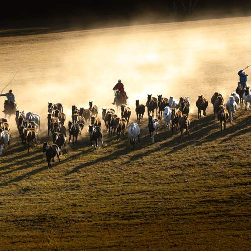 Фотография #13168931