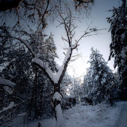 Photo #13168989
