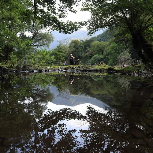 Photo #13169032