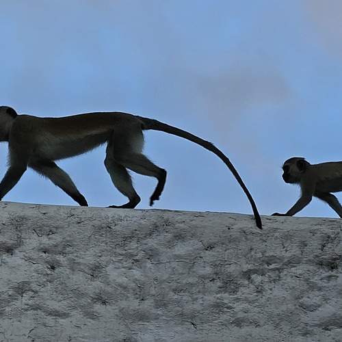 Photo #13169145
