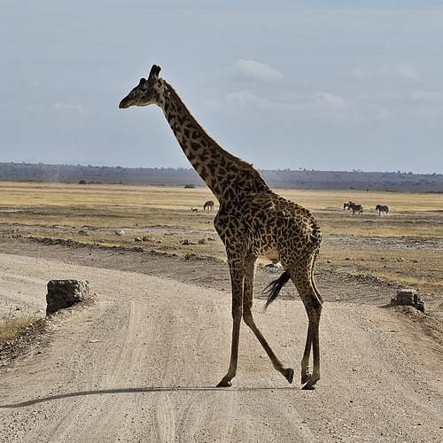 Photo #13169147