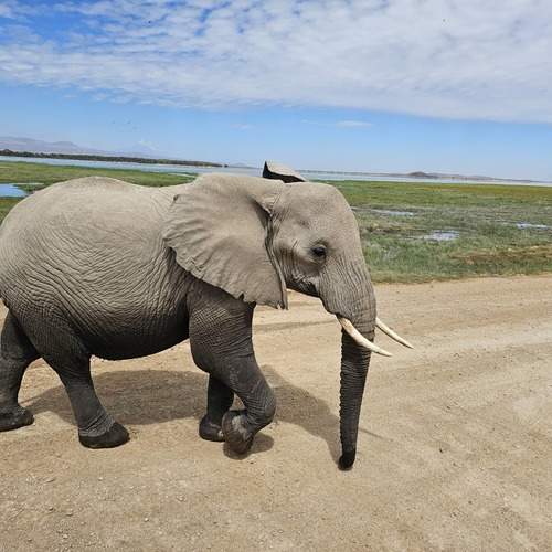 Photo #13169149