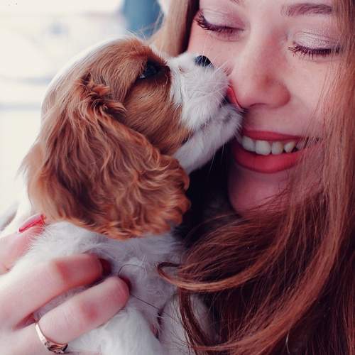 Photo #13169173