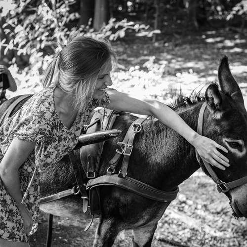 Photo #13169182