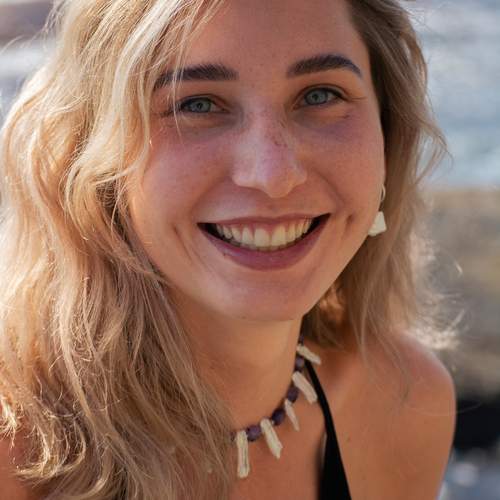 Photo #13169189