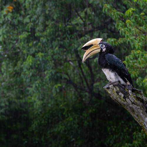 Фотография #13169198