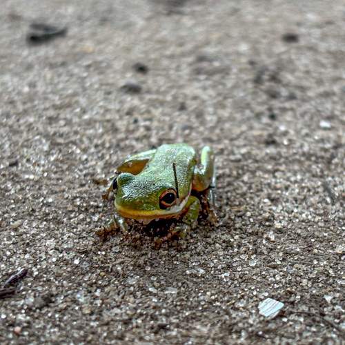 Photo #13169258
