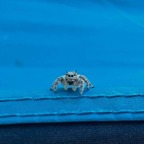 Photo #13169261