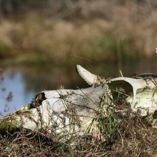 Photo #13169307