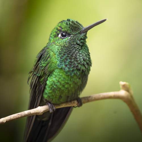 Фотография #13169327