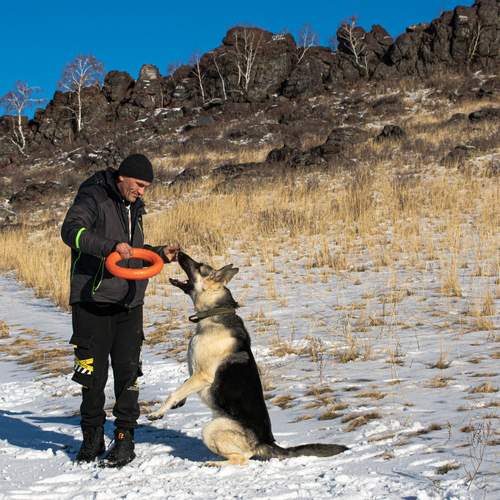 Photo #13169440