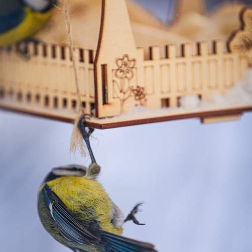 Photo #13169450