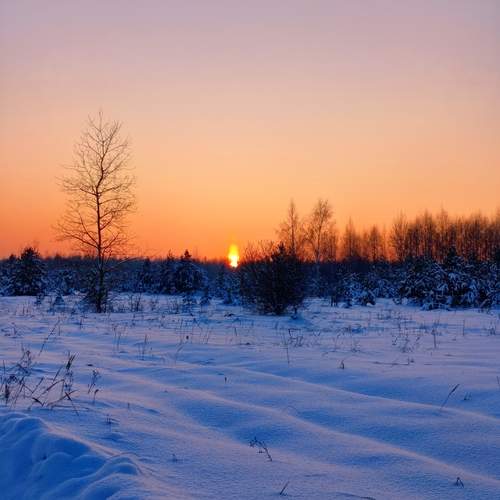 Photo #13169499