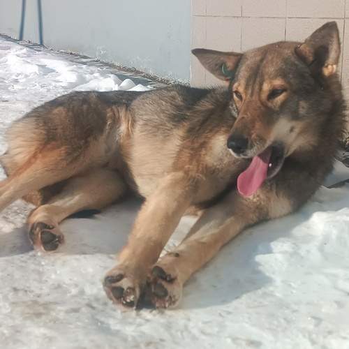 Photo #13169511