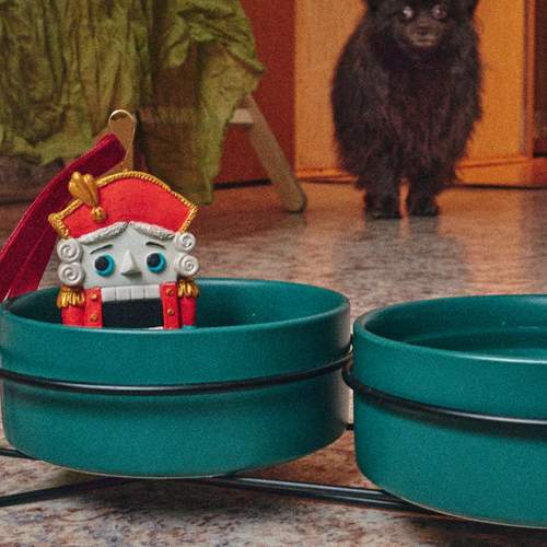 Фотография #13169547