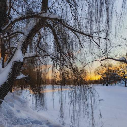 Фотография #13169592