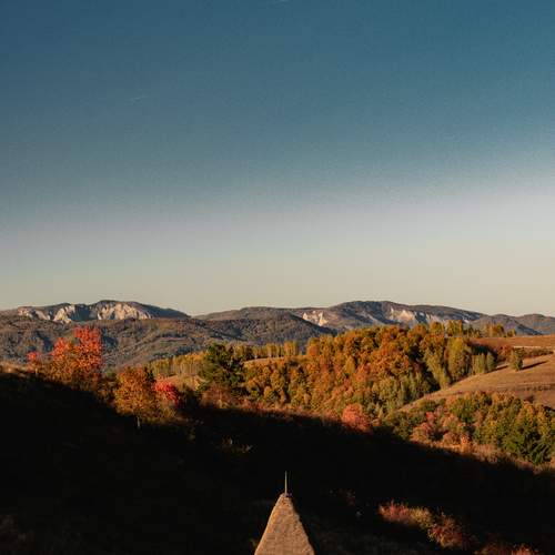 Photo #13169626