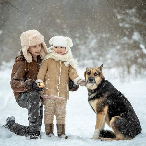 Photo #13169827