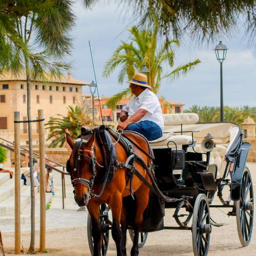 Photo #13169840