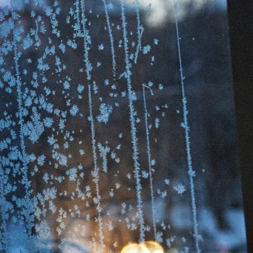 Photo #13169857