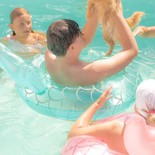 Photo #13170350