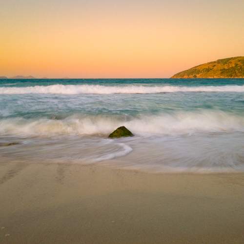 Photo #13170453