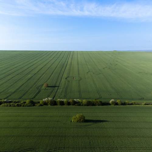 Фотография #13170701