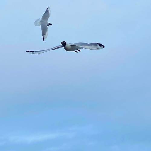 Photo #13170874