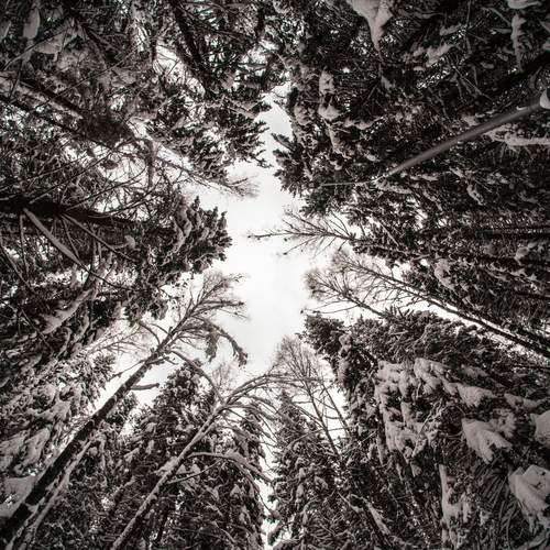 Photo #13170893