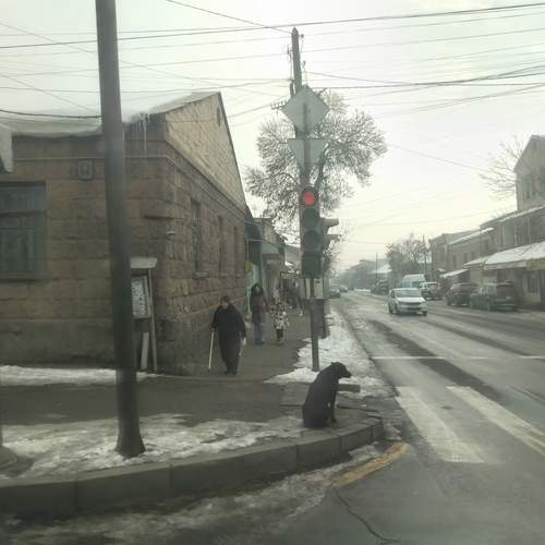 Photo #13170898