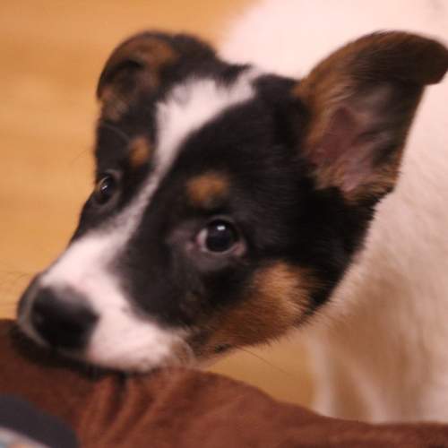 Photo #13171013