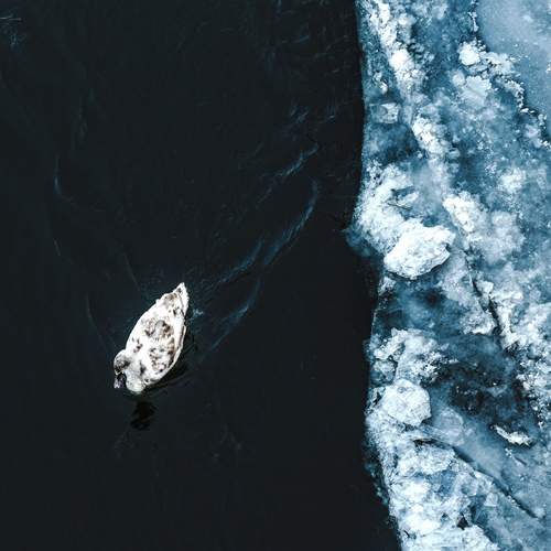 Photo #13171047