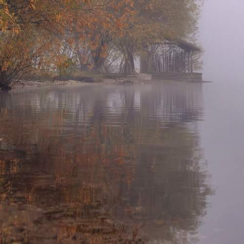 Photo #13171083