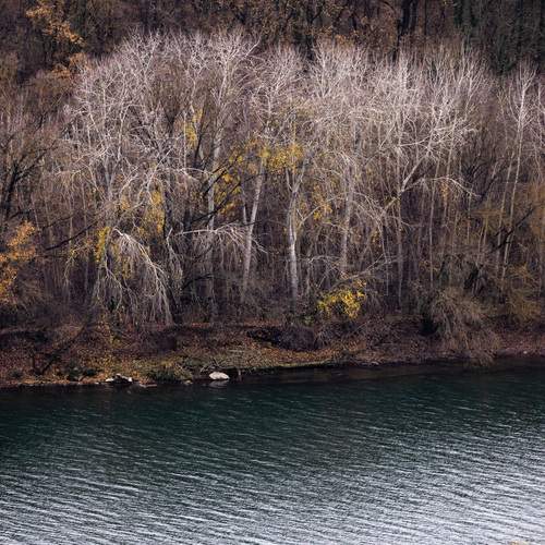 Photo #13171089