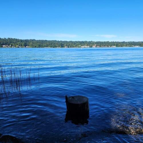 Photo #13171126