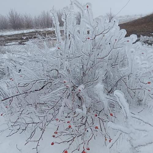 Photo #13171273