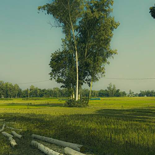 Photo #13171344