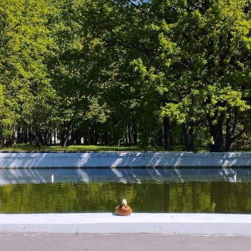 Photo #13171414